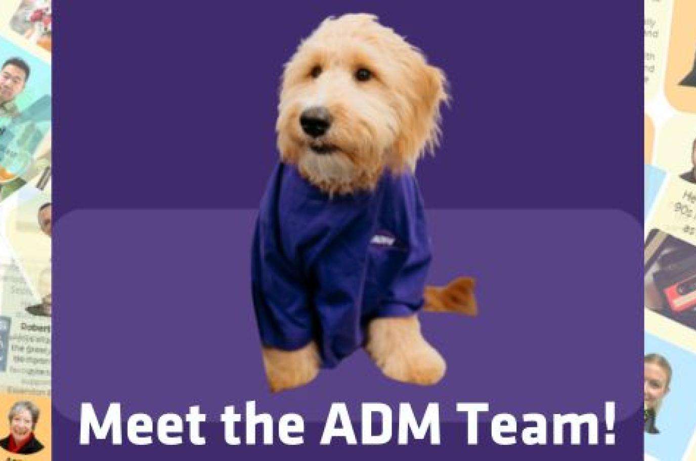 Meet the ADM Team